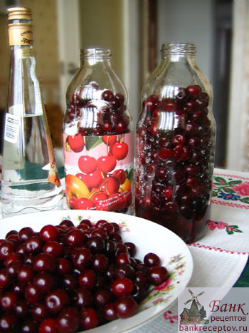 Рецепт наливки из вишни в домашних условиях на водке в трехлитровой банке рецепт с фото